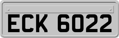 ECK6022