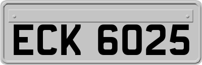 ECK6025