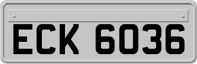 ECK6036