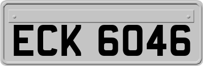 ECK6046