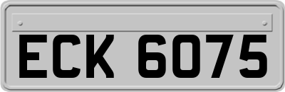 ECK6075