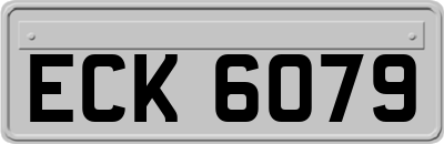 ECK6079