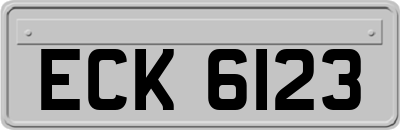 ECK6123