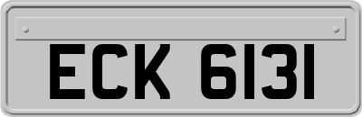 ECK6131