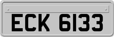 ECK6133