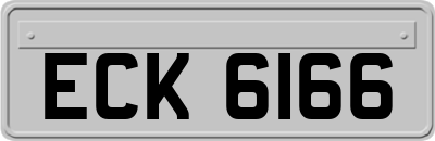 ECK6166