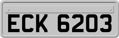 ECK6203