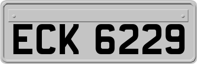 ECK6229