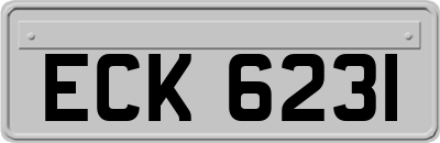 ECK6231
