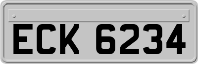 ECK6234
