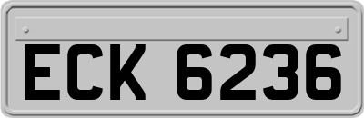 ECK6236