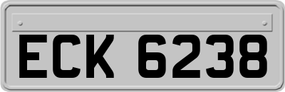 ECK6238