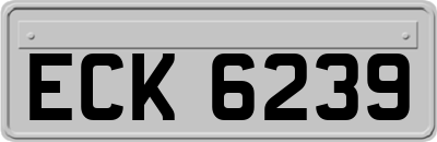 ECK6239