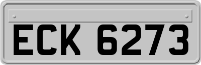 ECK6273