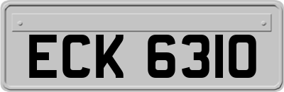 ECK6310
