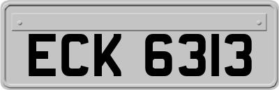 ECK6313