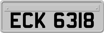 ECK6318