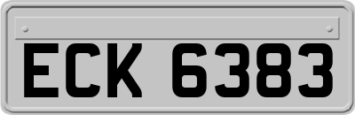 ECK6383