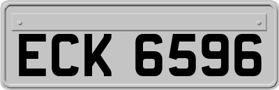 ECK6596