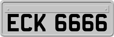 ECK6666