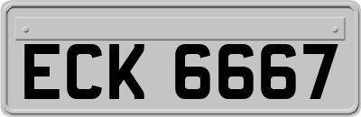 ECK6667