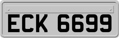 ECK6699