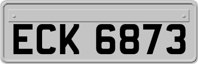 ECK6873