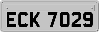 ECK7029