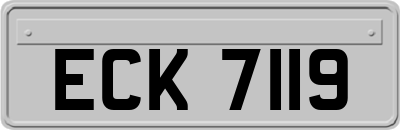 ECK7119