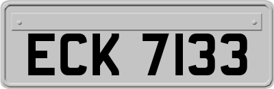 ECK7133