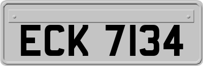 ECK7134