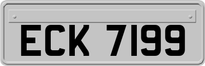 ECK7199