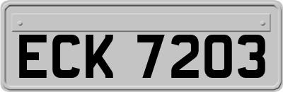ECK7203