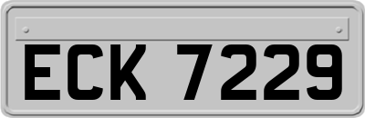 ECK7229