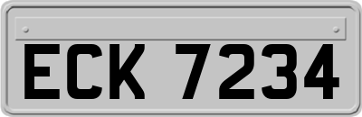 ECK7234
