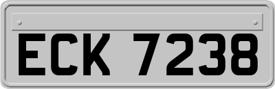 ECK7238