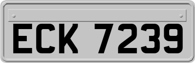ECK7239