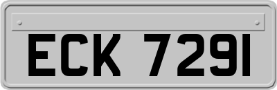 ECK7291