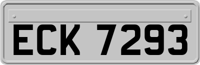 ECK7293