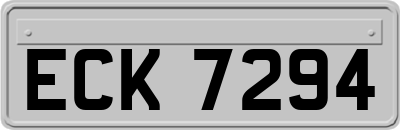 ECK7294
