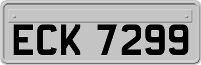 ECK7299