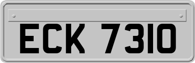 ECK7310
