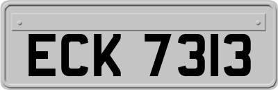 ECK7313
