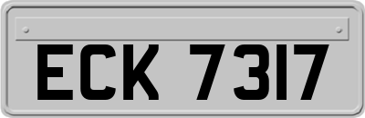 ECK7317
