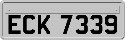 ECK7339