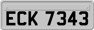 ECK7343