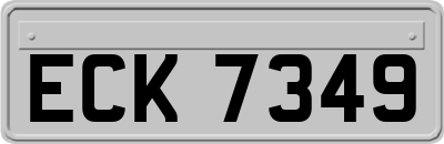 ECK7349