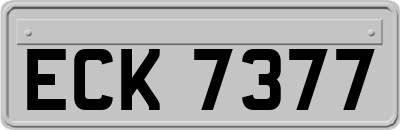 ECK7377