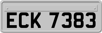 ECK7383