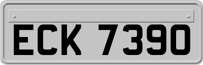 ECK7390